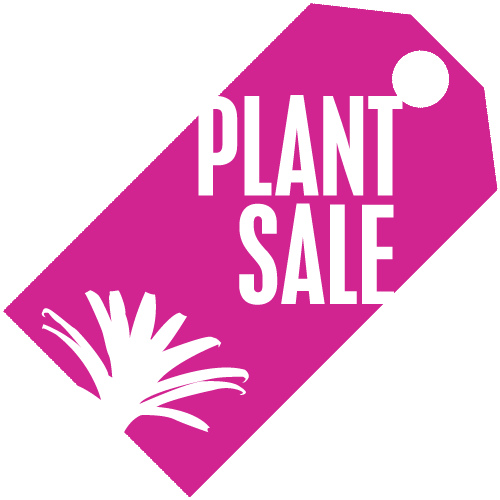 FFA Plant Sale- May 5th & 12th (9AM-1PM)