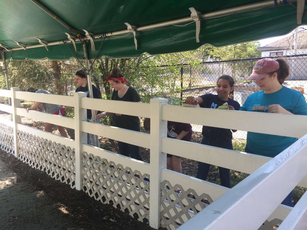 8th Grade students cleaning the Petting Zoo fence at Miller Park Zoo