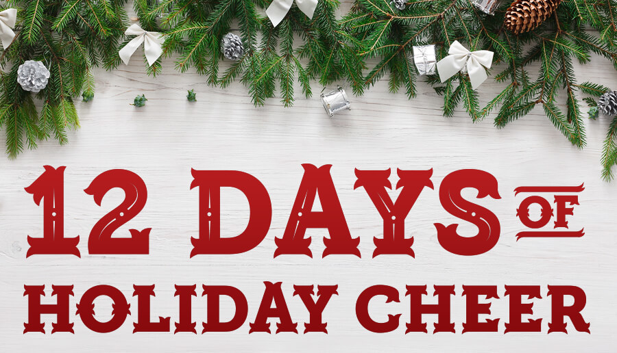 12 days of holiday cheer