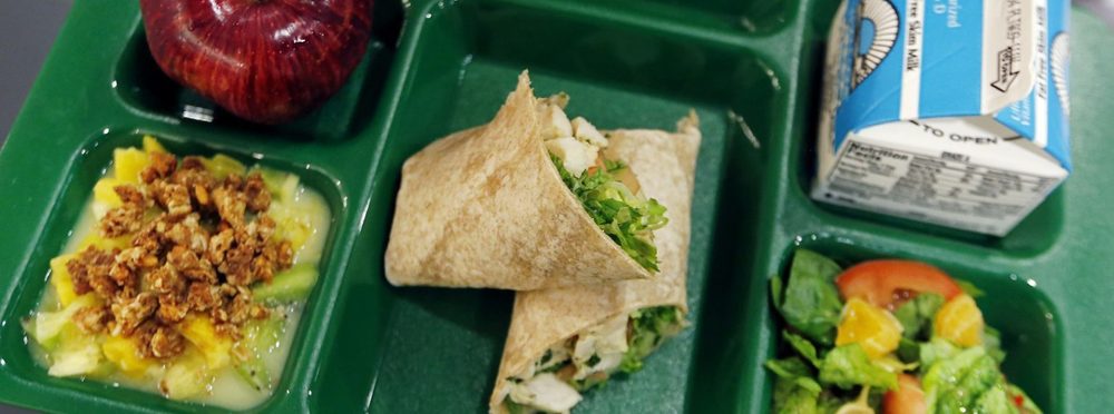 Food Tray