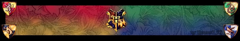 Calling All Wizards & Muggles!!!