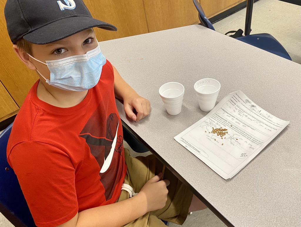 Students in Ms. Swartz’s Science class are in the midst of an investigation as they learn about plant growth. #SpartanScientists #LearningIsFun